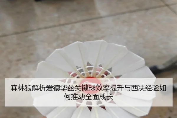 森林狼解析爱德华兹关键球效率提升与西决经验如何推动全面成长